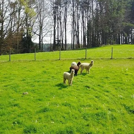Zapfs Bauernhof Hortensie *